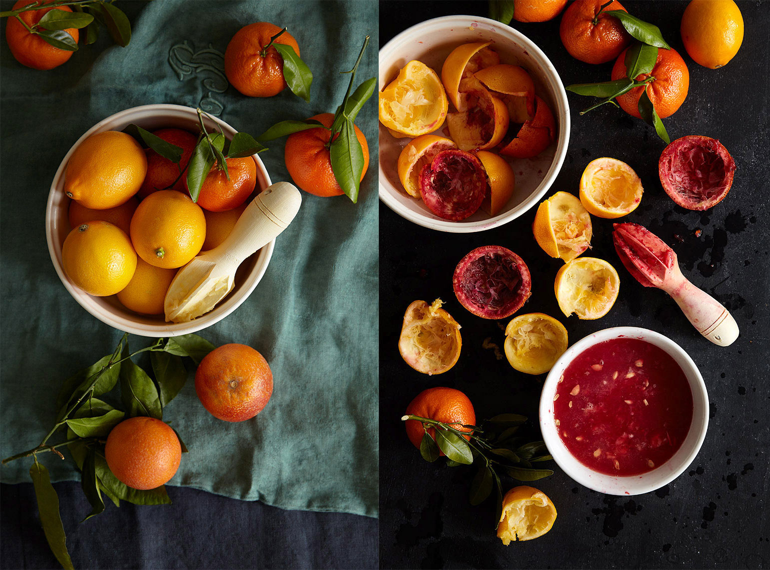 Meyer-Lemons-and-Tangerines-6