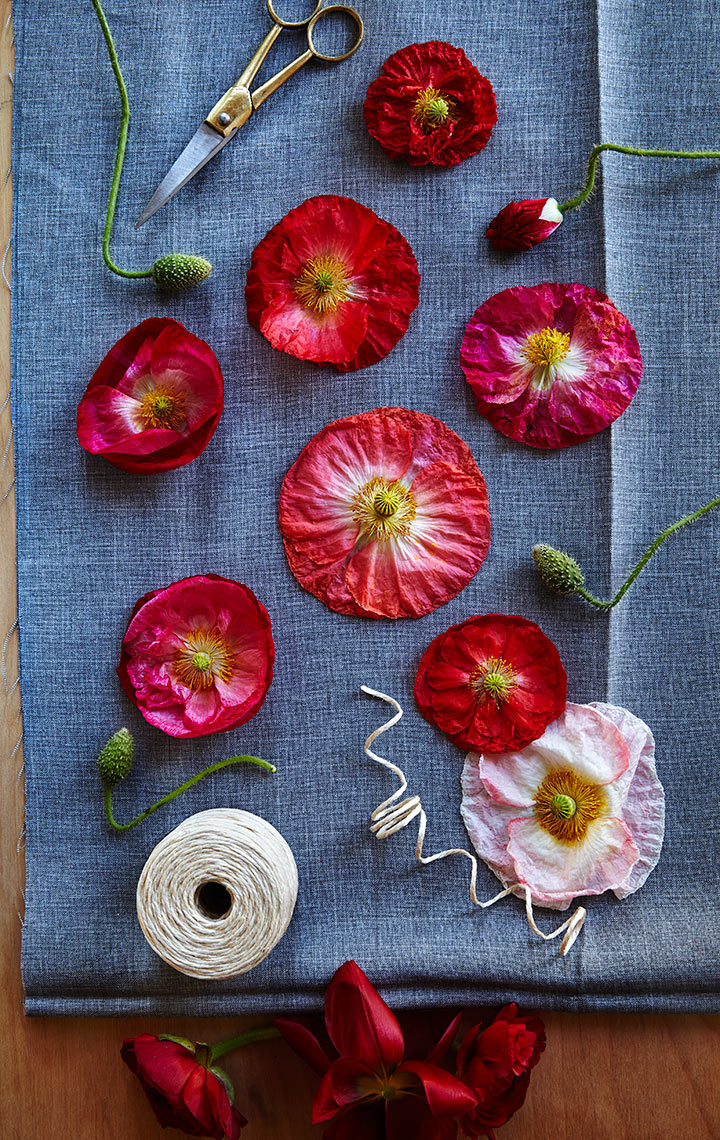 Shannon-poppies-and-grey-fabric