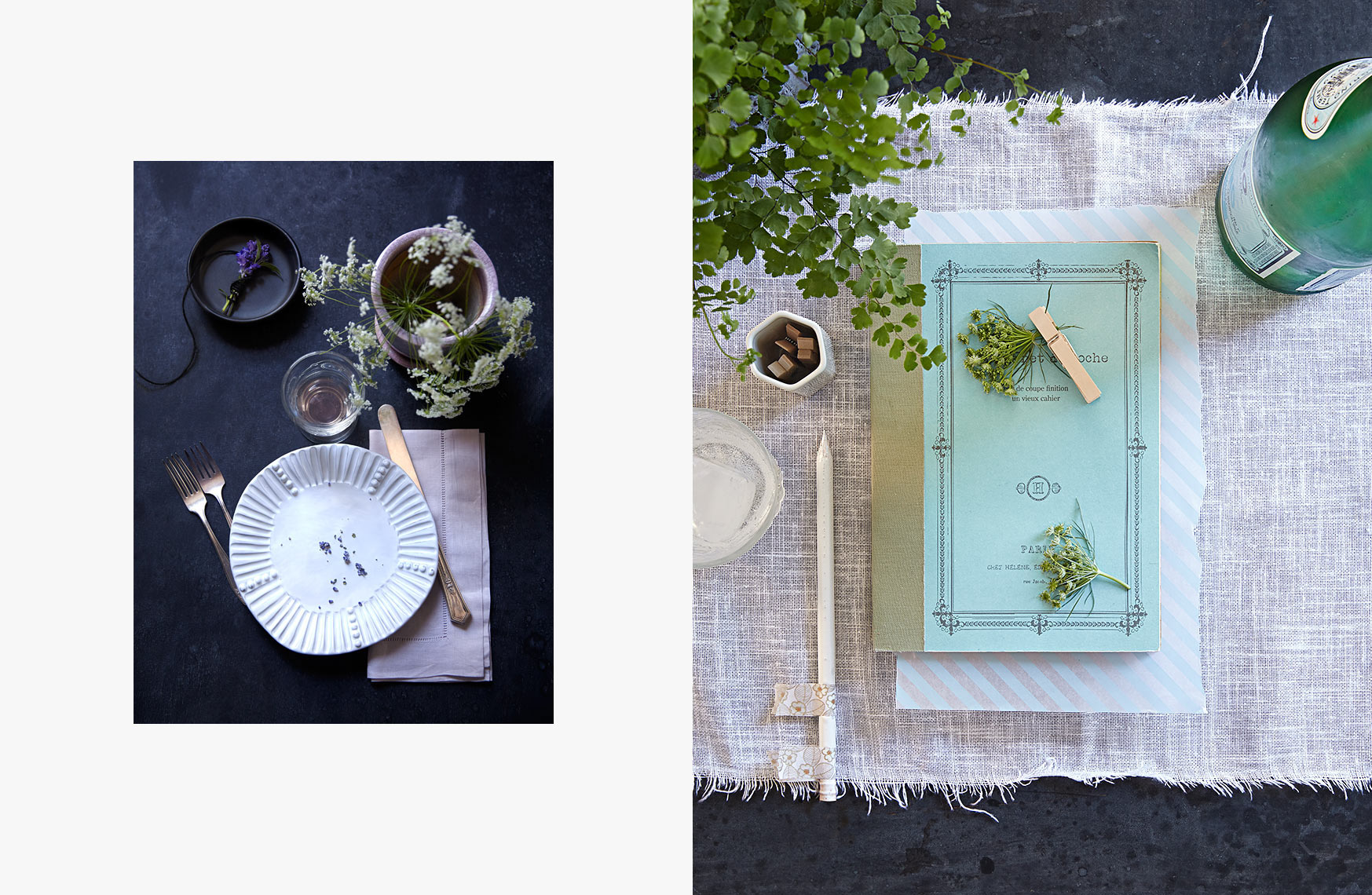 Shannon-still-life-1